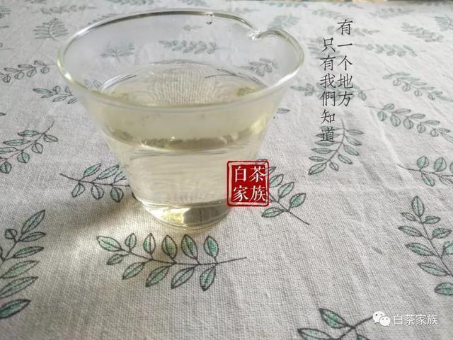 泡白茶一次几g