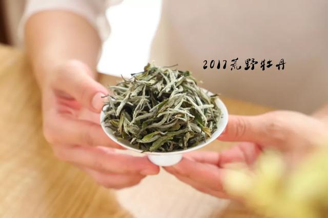 白茶茶发黄好不好