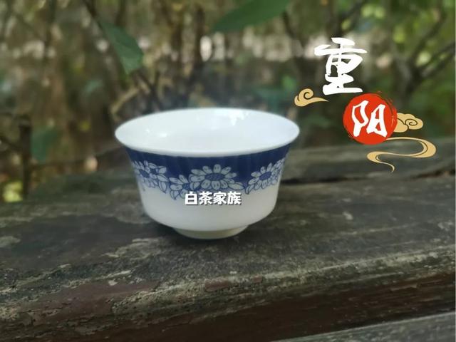 晚上九点能喝白茶吗？