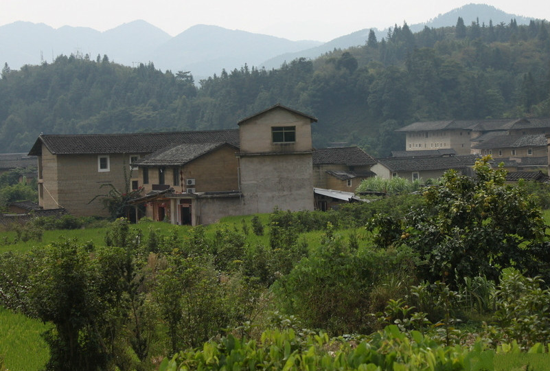 州白茶村农家乐价格