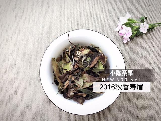 白茶可以放两年的