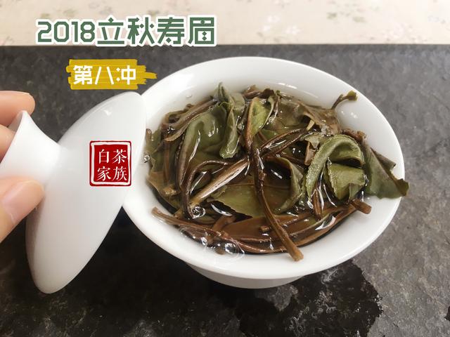 老白茶喝多长时间