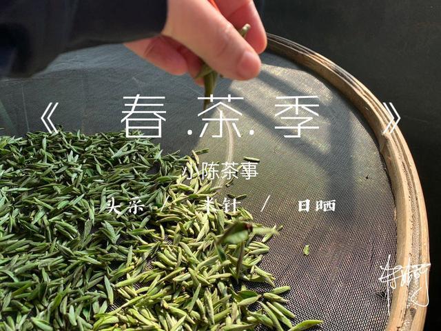 老白茶喝多长时间