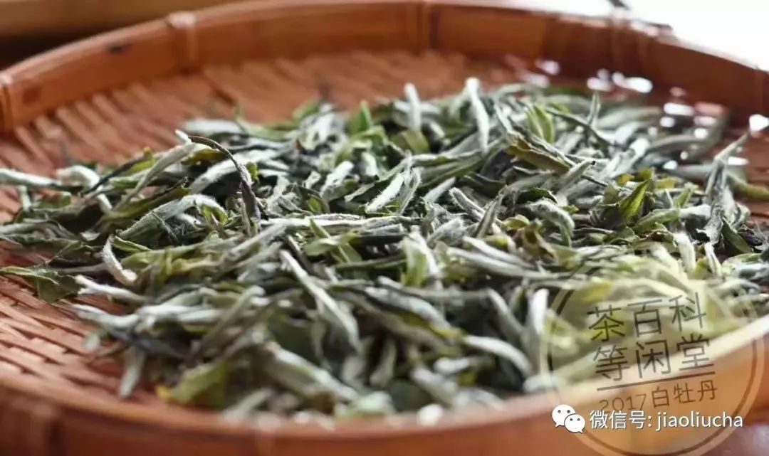 莓茶与白茶有什么不同