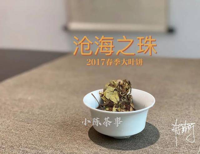 白茶茶饼有霉点还能喝吗