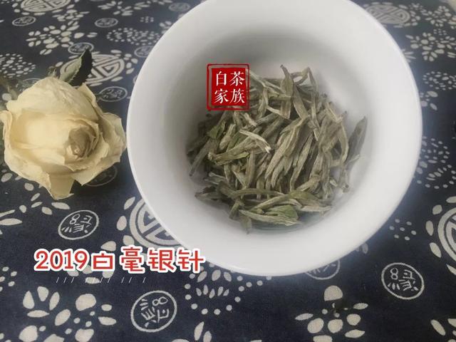 老白茶为什么好