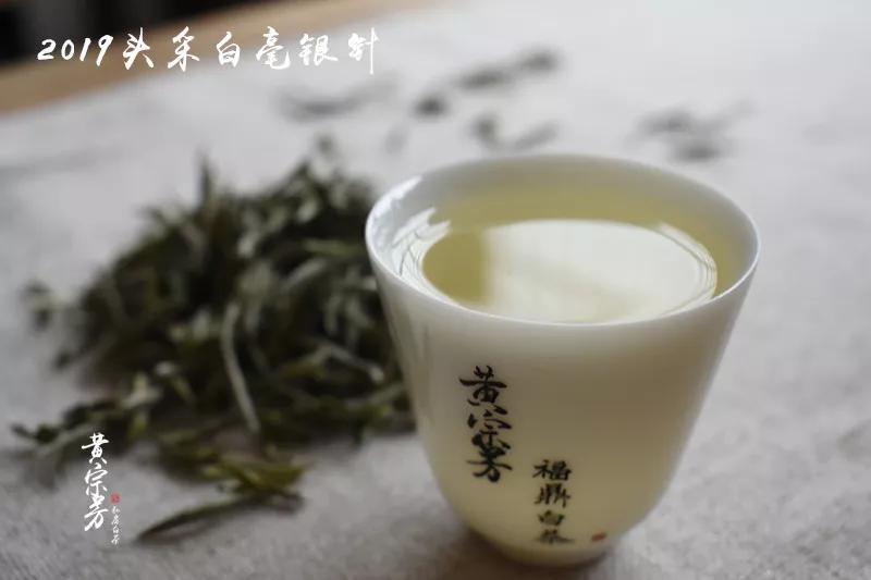 福鼎白茶能做奶茶吗？如何制作视频教程