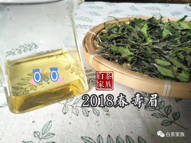 泉州老白茶加盟条件及费用