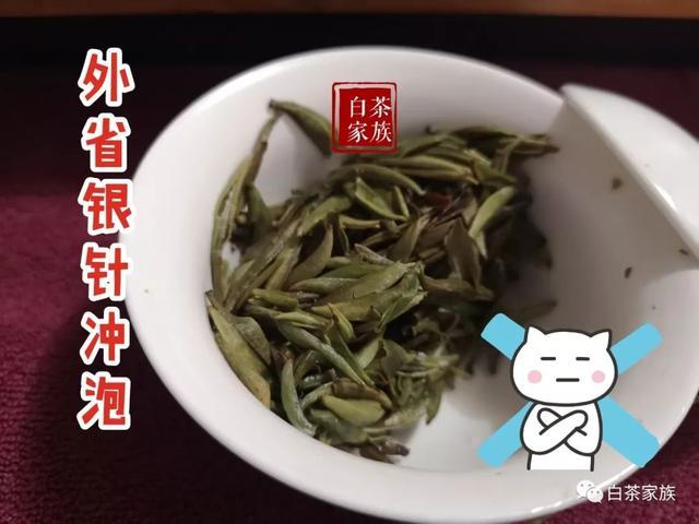 福鼎白茶品牌加盟费用多少钱及其优势