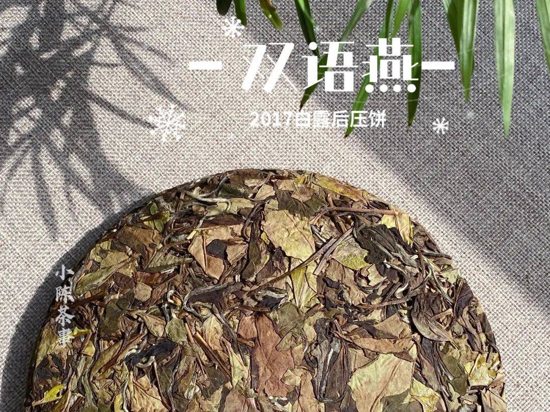 陈年老白茶怎么分辨真假