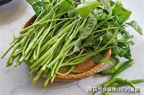 大白菜鸡毛菜你是什么菜你是真的菜