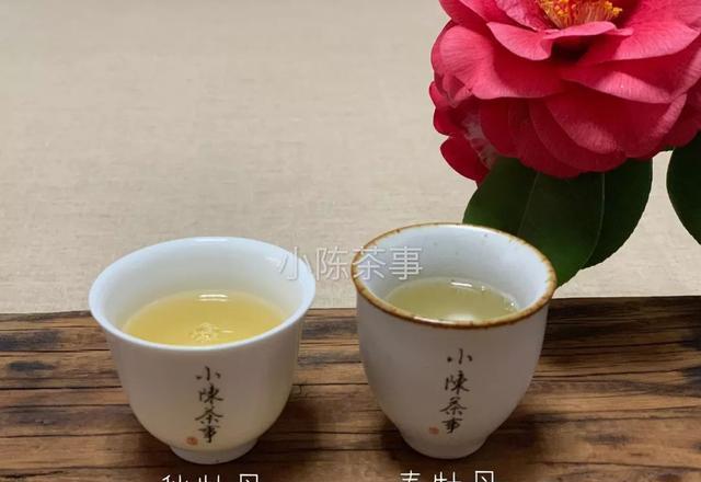 白茶的茶是什么颜色