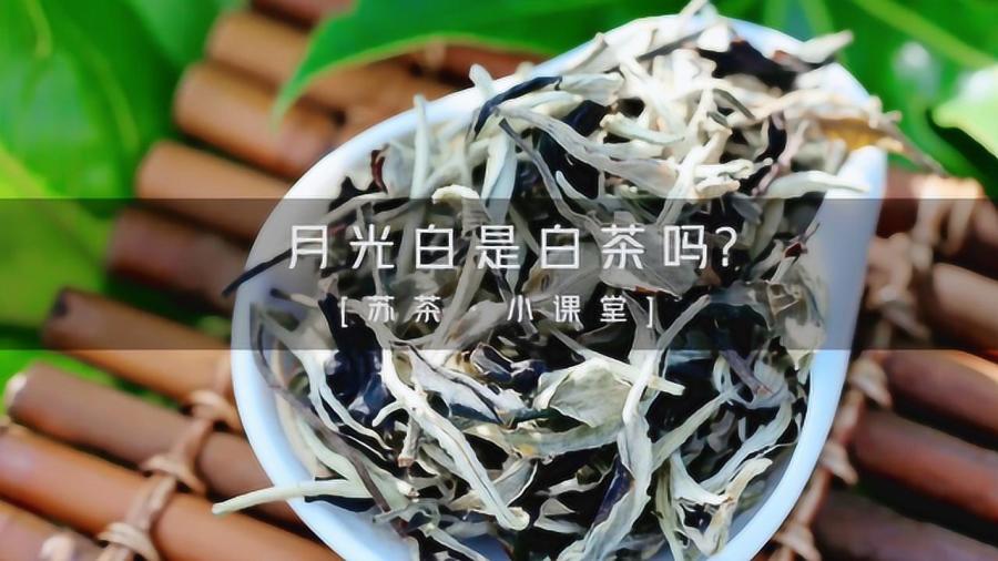 云南白茶月光白的品质特征