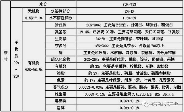 张天福有机白茶和张天福的关系及品质评价