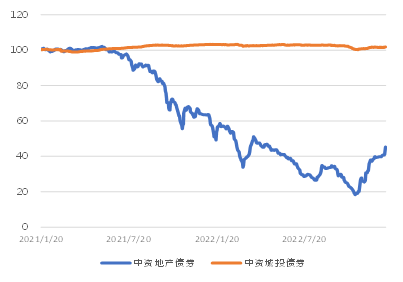 安吉白茶出口亚洲市场调研分析