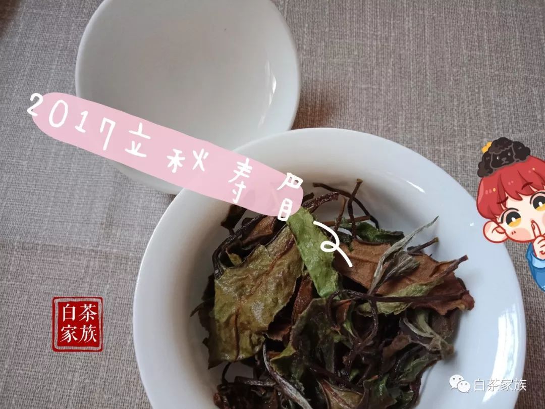 老白茶为什么要制成饼