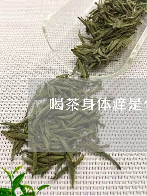 喝白茶过敏是什么原因