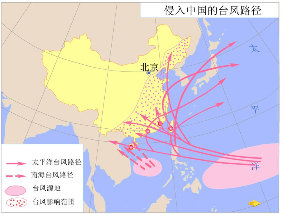 白茶氨基酸分布在哪里