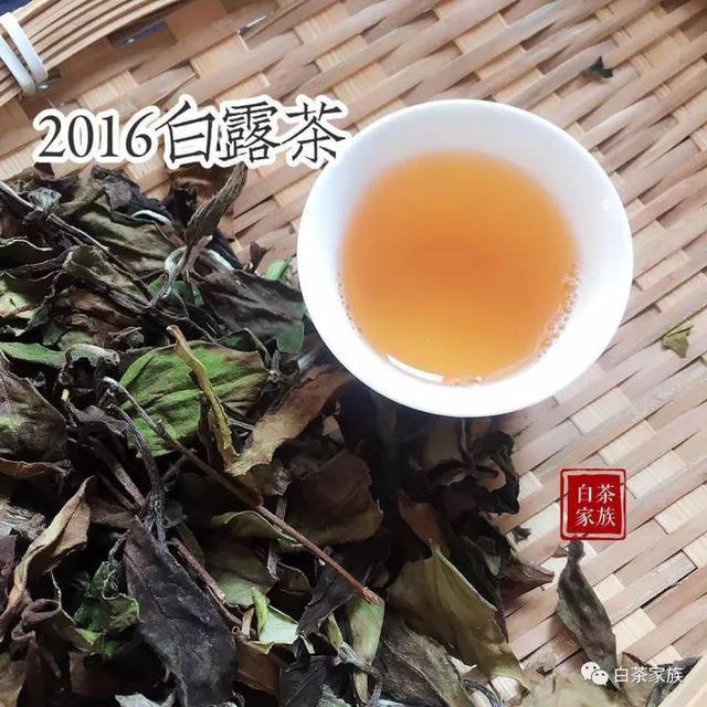 为什么白茶喝着胃不服呢，怎么办？