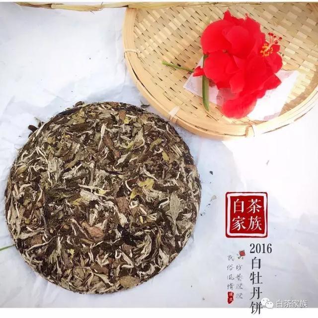 喝白茶胃口不服，怎么办？