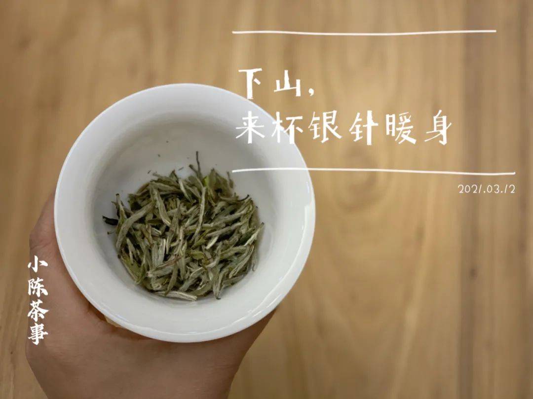 福鼎白茶茶叶保质期多久喝？