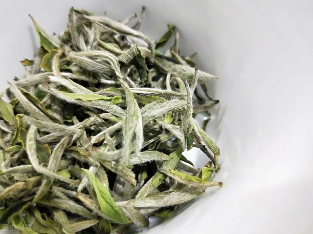 州白茶是什么茶种类和功效