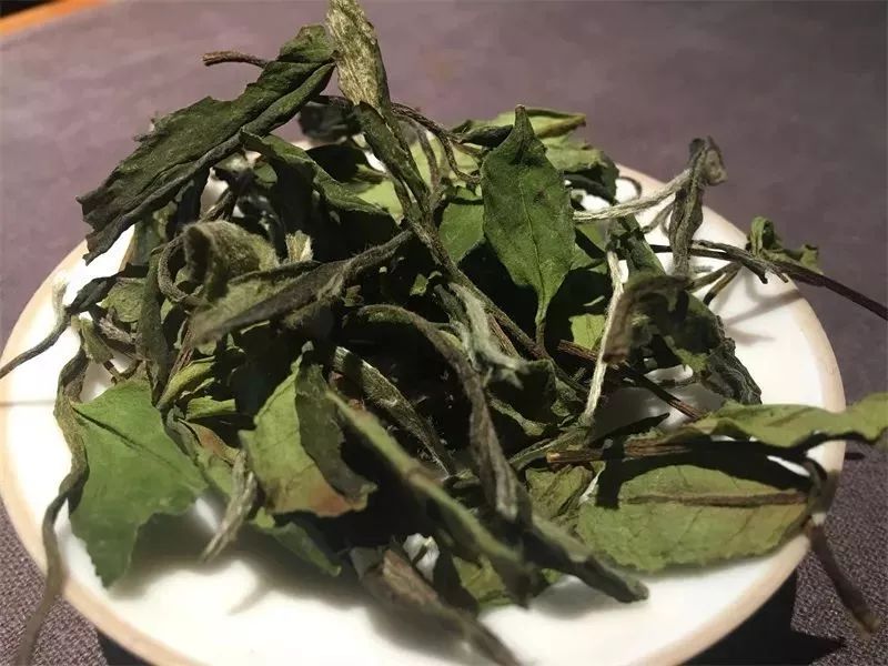 单芽白茶是什么茶，意思和味道，价格