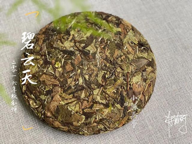 白茶上面有小虫能喝吗视频教程