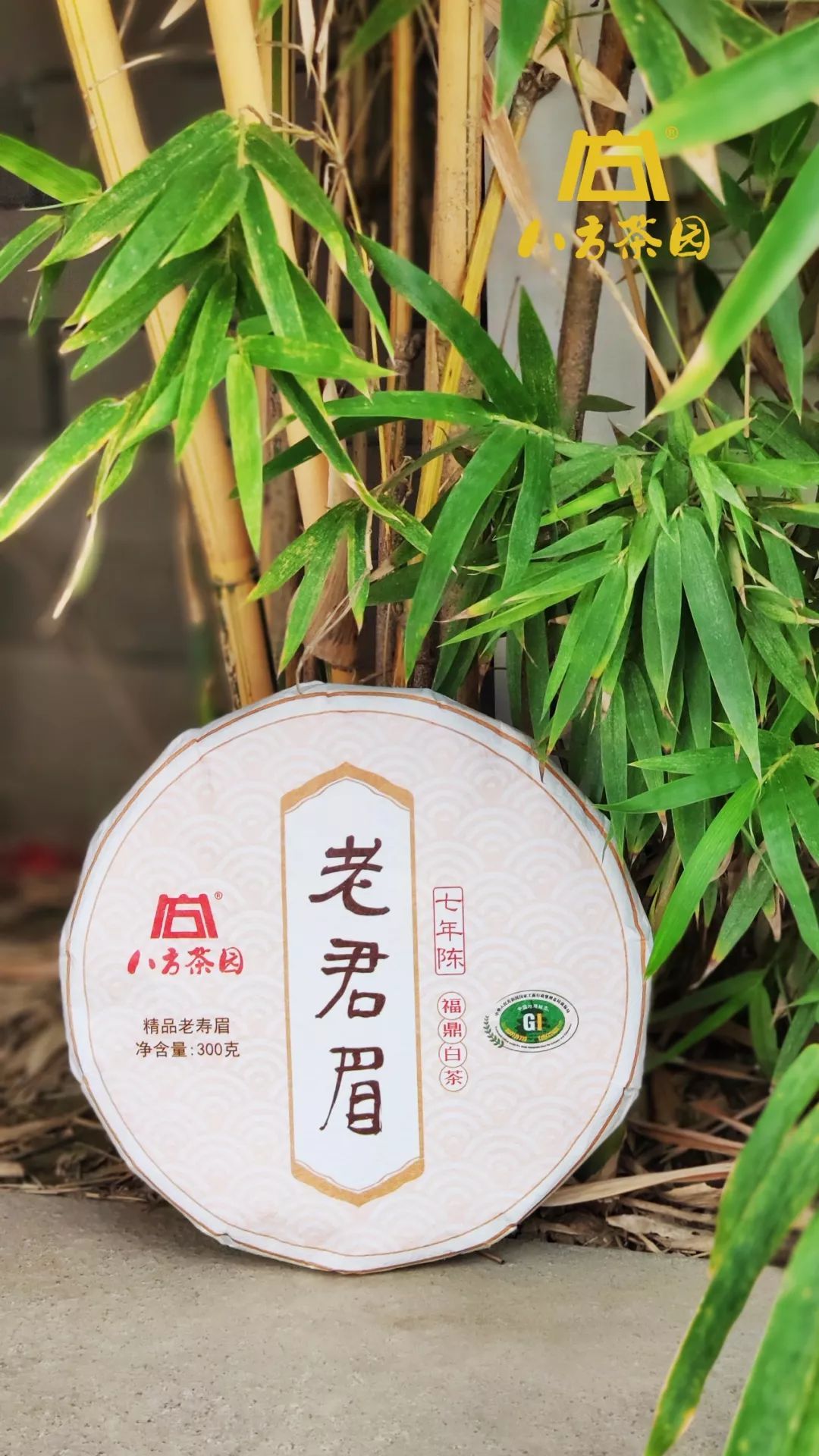 玉林福鼎白茶代理加盟费