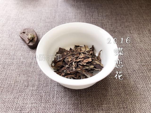 老白茶里面的虫子是什么样的图片和长虫子怎么办