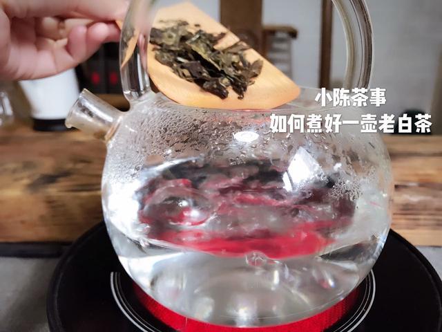 老白茶里面的虫子是什么东西及处理方法