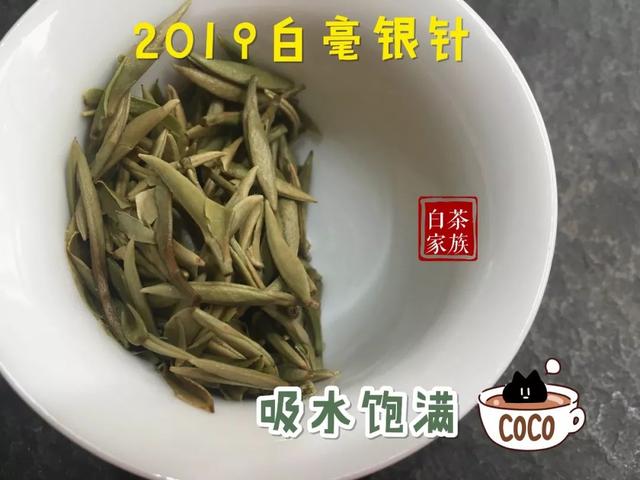 老白茶的茶叶特征是什么