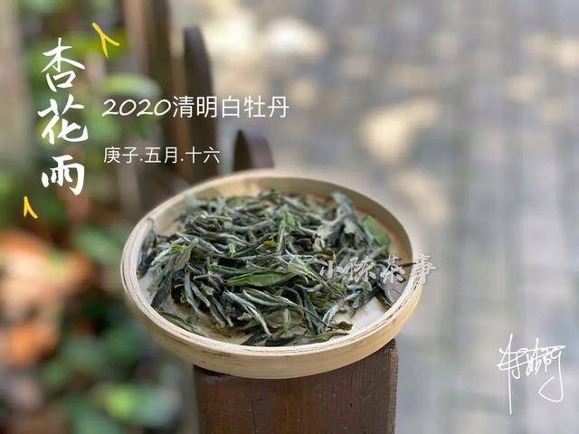 白茶银针牡丹寿眉是红茶