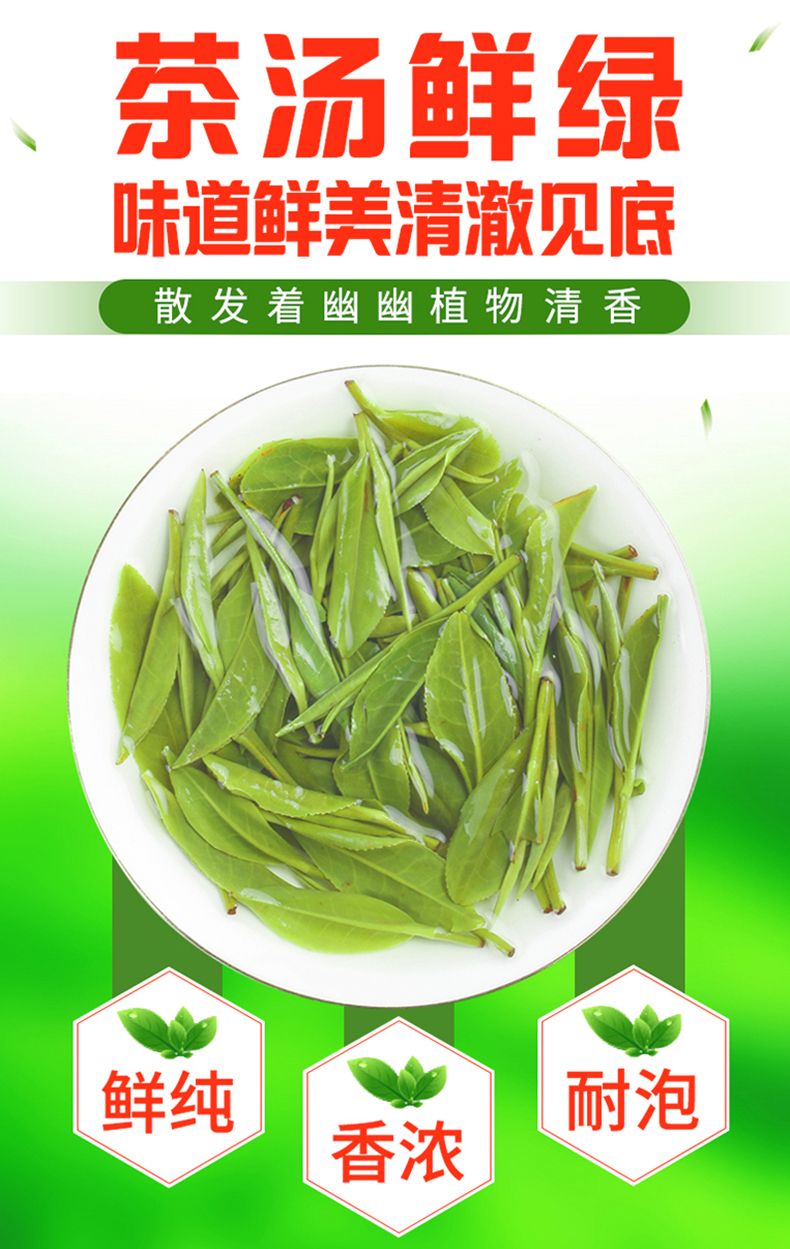 安吉白茶茶叶大小分类及分级