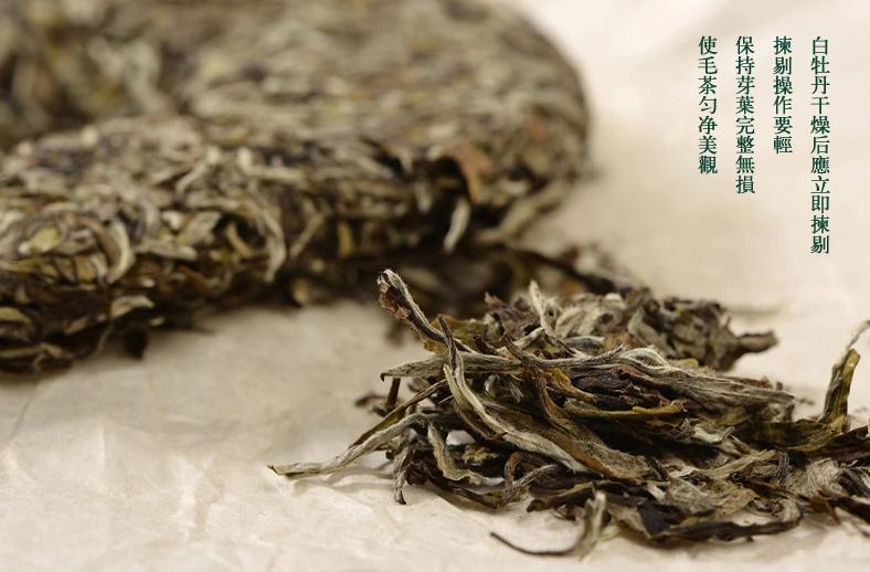 安吉白茶茶叶大小分类及分级