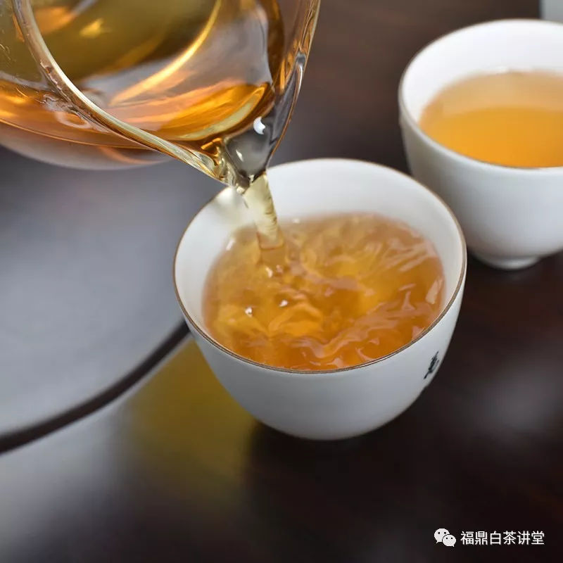 白茶不需要洗茶吗为什么