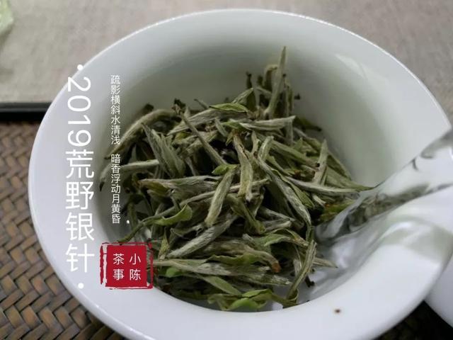 陈年老白茶什么时候喝好