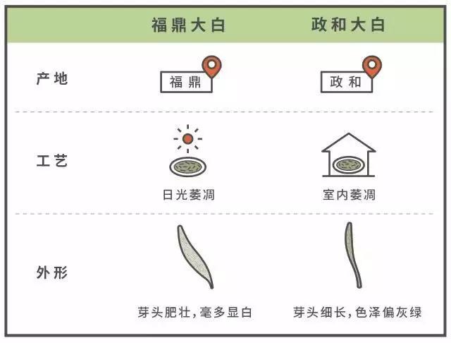 福鼎白茶经销商及名录，电话查询