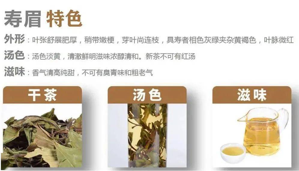 福鼎白茶每天能喝多少杯