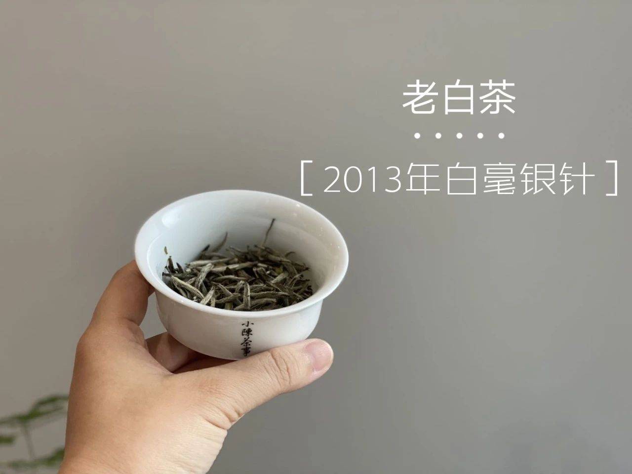 白茶红色茶是什么茶