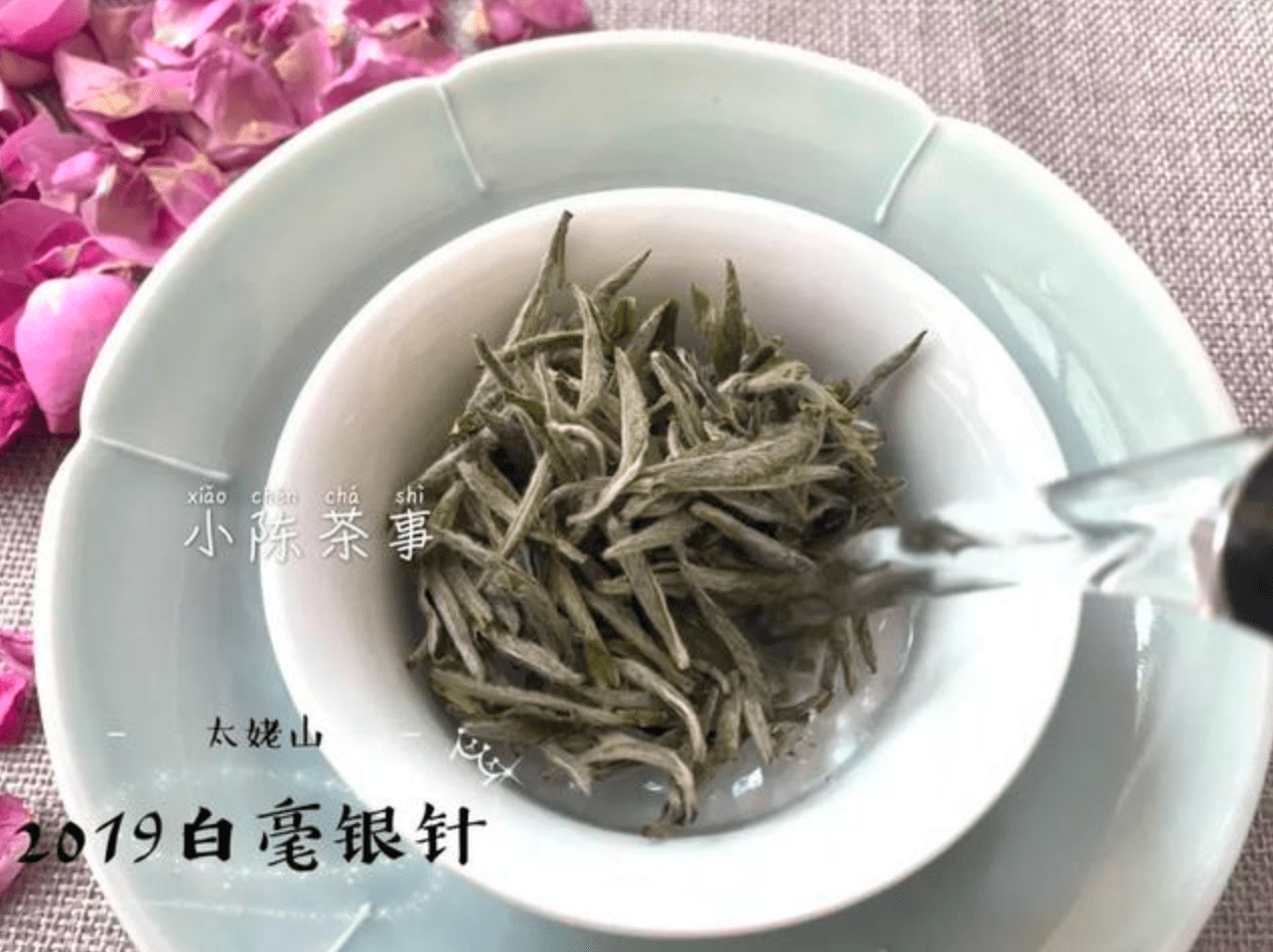 白茶泡出来好不好吃