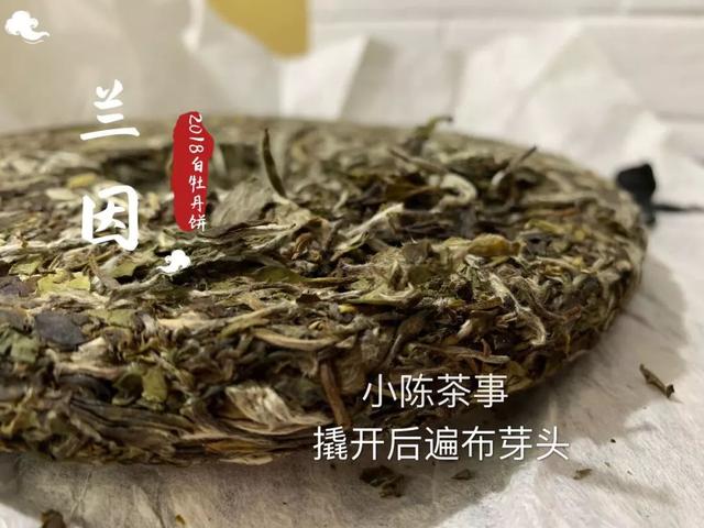 白牡丹白茶饼放多久最合适喝及存放时效