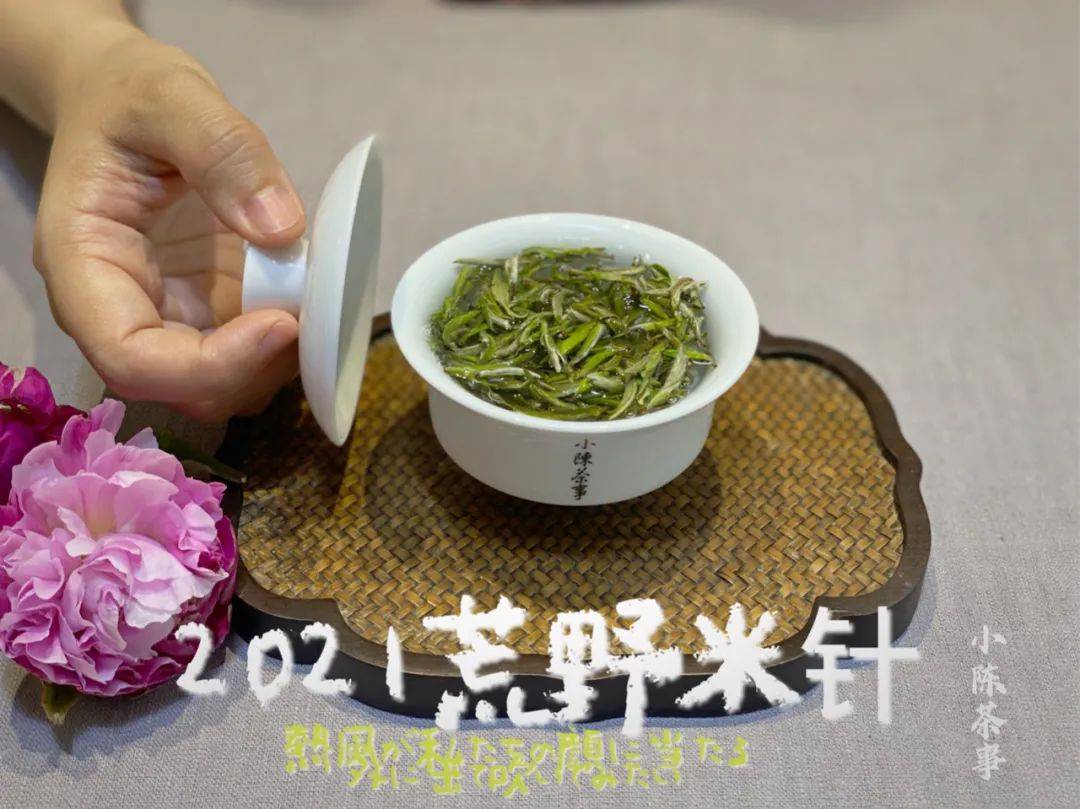 白茶怎么看是新茶还是老茶，如何分辨白茶的好坏及是否变质？