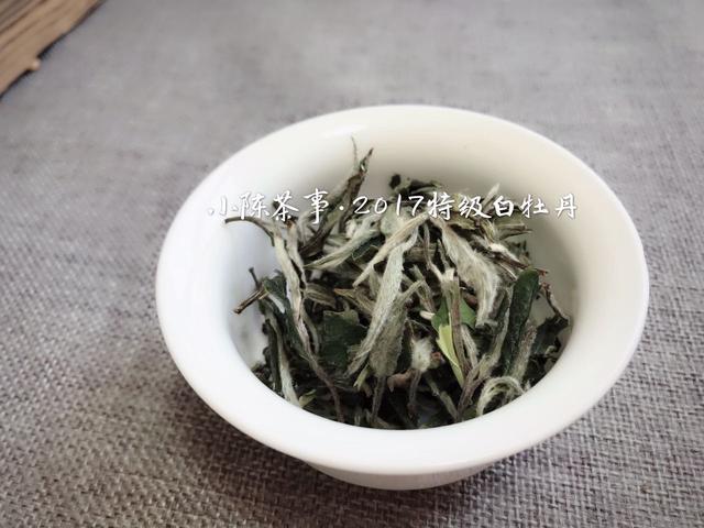 安徽白茶怎样看新茶旧茶