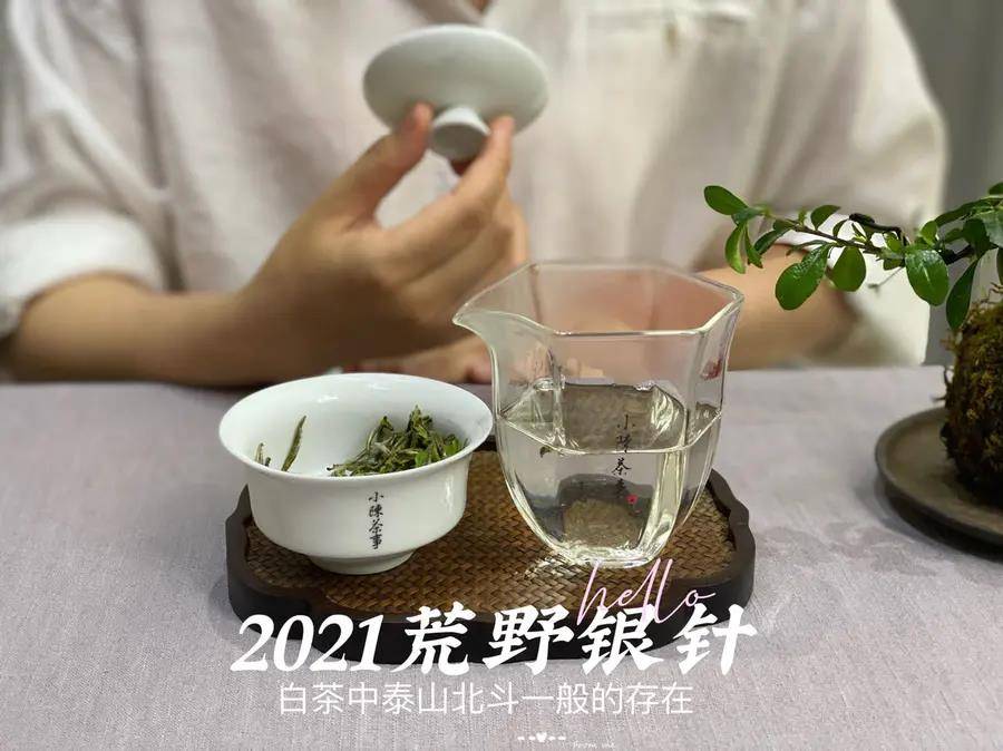 白茶冲泡用多少的水好