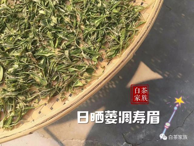 云南古树白茶保存多久喝完比较好，怎样存放？