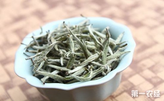 优质白茶是什么样的茶