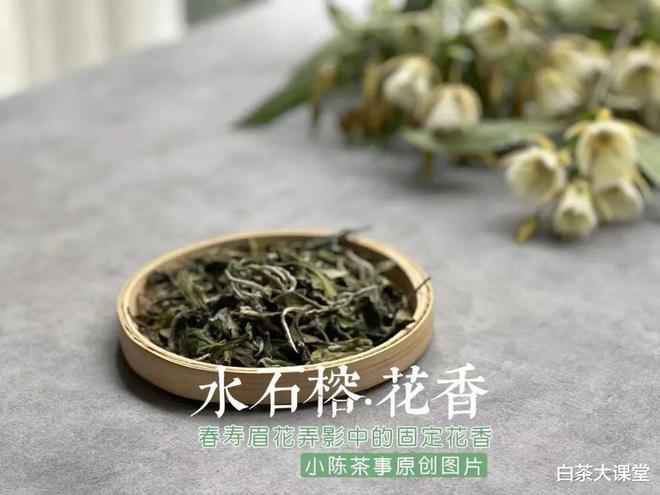 香如故白茶怎么样