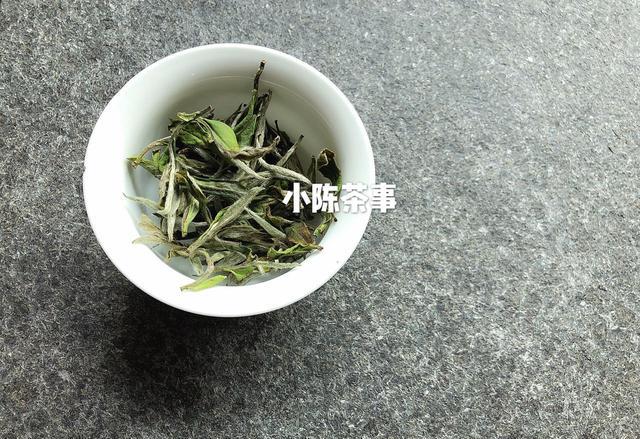 秋天适合喝白茶还是碎银子茶