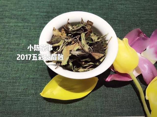 秋天适合喝白茶还是碎银子